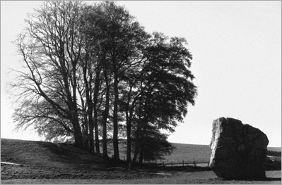 20.AveburyTreeStone WEB.jpg